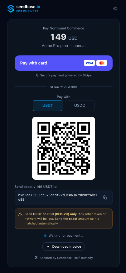 Sendbase hosted checkout: pay by card via Stripe, or in USDT or USDC on BNB Smart Chain